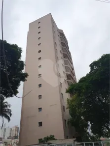 Apartamento com 3 Quartos à venda, 117m² no Vila Paulicéia, São Paulo