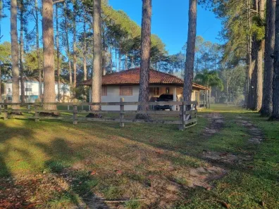 Fazenda/Sítio com 2 Quartos à venda, 180m² no Piriquitos, Ponta Grossa