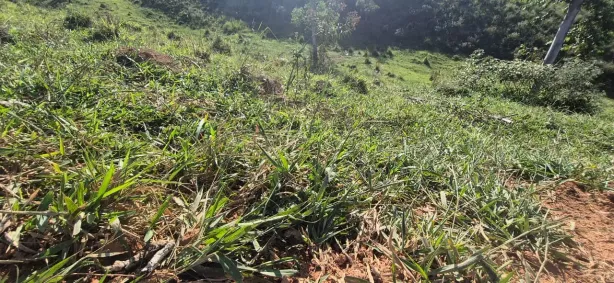 Lote/Terreno à venda, 1000m² no Centro, Igaratá