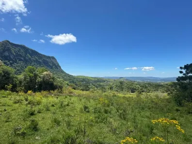 Fazenda/Sítio à venda, 49000m² no , Alfredo Wagner