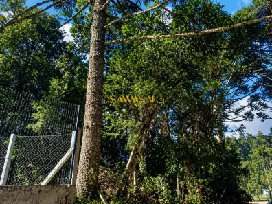 Lote/Terreno à venda, 2395m² no , São José dos Pinhais