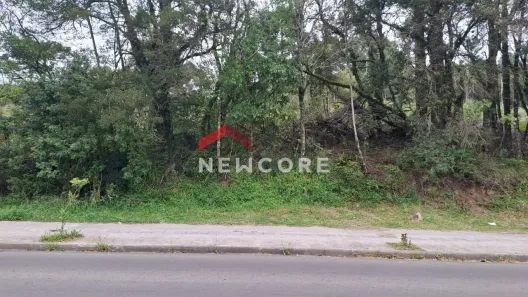 Lote/Terreno à venda, 360m² no Ulisses de Abreu, Canela