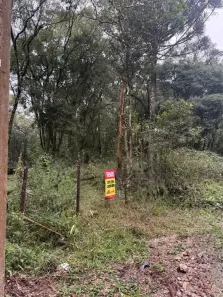 Lote/Terreno à venda, 5213m² no , Balsa Nova