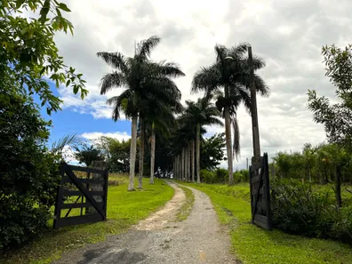 Fazenda/Sítio com 5 Quartos à venda, 484000m² no Centro, Pariquera-Açu
