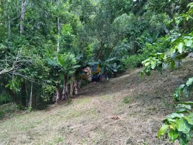 Fazenda/Sítio à venda, 50m² no Antonina, Antonina