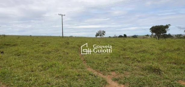 Fazenda/Sítio à venda, 193600m² no , Cocalzinho de Goiás