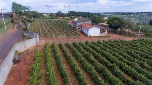 Fazenda/Sítio com 9 Quartos à venda, 20000m² no Reforma Agrária, Valinhos