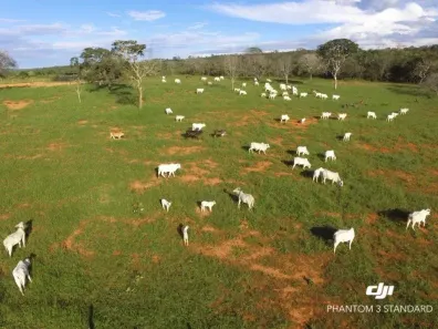 Fazenda/Sítio com 3 Quartos à venda, 10018800m² no , Niquelândia