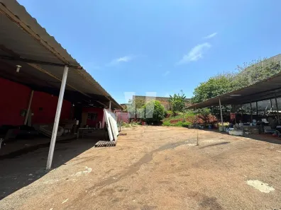Lote/Terreno para alugar, 1200m² no São Luiz, Belo Horizonte