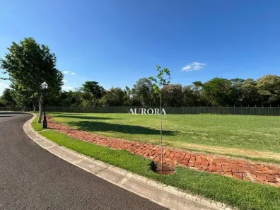 Lote/Terreno à venda, 1515m² no Vivendas do Arvoredo, Londrina