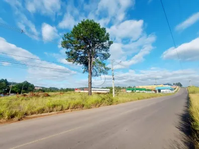 Imóvel Comercial à venda, 6605m² no Fazenda São Borja, São Leopoldo