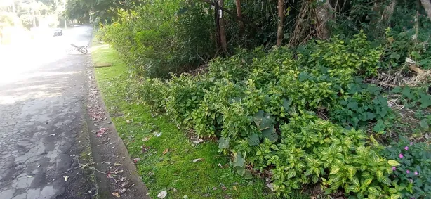 Lote/Terreno à venda, 1526m² no Caraguatá, Mairiporã