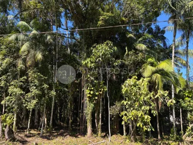 Lote/Terreno à venda, 1200m² no Jardim Ouro Fino, Paranaguá