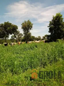 Fazenda/Sítio à venda, 2650000m² no , Pedro Gomes