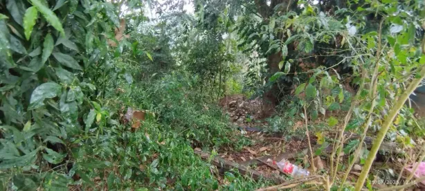 Lote/Terreno à venda, 300m² no Chácara Jaguari (Fazendinha), Santana de Parnaíba