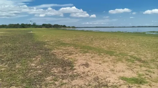 Fazenda/Sítio à venda, 1150m² no , Barão de Melgaço