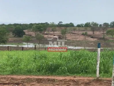 Fazenda/Sítio à venda, 20000m² no , Posse