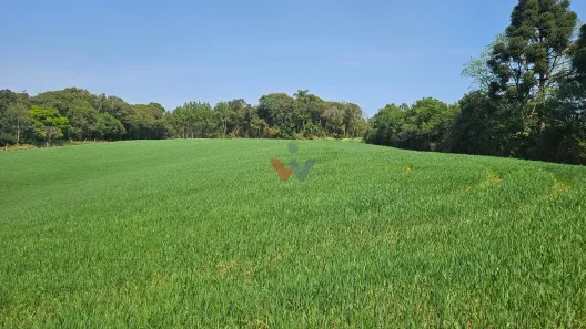 Fazenda/Sítio com 1 Quarto à venda, 20000m² no Capela Velha, Araucária