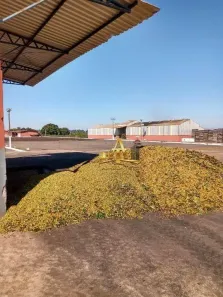 Fazenda/Sítio com 1 Quarto à venda, 200m² no , Piumhi