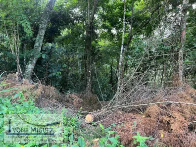 Lote/Terreno à venda, 1469m² no Miguel Pereira, Miguel Pereira