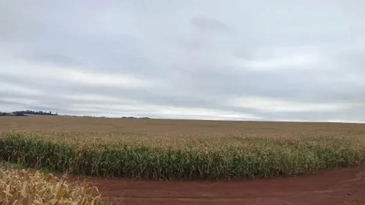 Fazenda/Sítio à venda, 24200m² no , Formosa do Oeste
