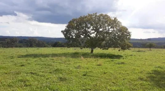 Fazenda/Sítio à venda, 20000m² no , Hidrolândia