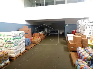 Imóvel Comercial à venda, 284m² no Jardim Nazareth, Marília