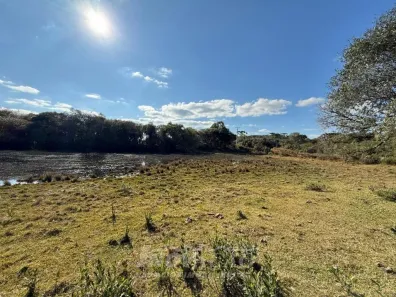 Fazenda/Sítio com 1 Quarto à venda, 30000m² no Criúva, Caxias do Sul