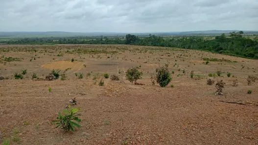 Fazenda/Sítio com 3 Quartos à venda, 2100000m² no , Dom Eliseu