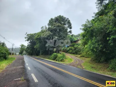 Fazenda/Sítio com 1 Quarto à venda, 27000m² no Linha Imperial, Nova Petrópolis