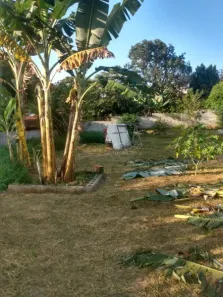 Lote/Terreno à venda, 532m² no Jardim Santa Cecília I, São José dos Campos
