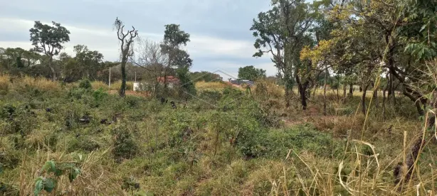 Imóvel Comercial à venda, 1386m² no Jardim Santos Dumont, Bauru