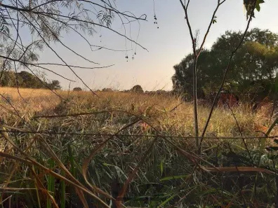 Lote/Terreno à venda, 2700m² no Betel, Paulínia