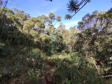 à venda, 1m² no , Delfim Moreira