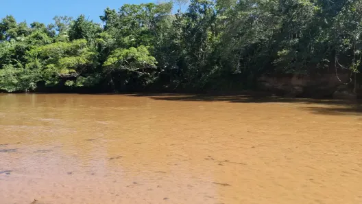 Fazenda/Sítio à venda, 400m² no Centro, Ribeirãozinho