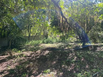 Lote/Terreno à venda, 9750m² no Belém Velho, Porto Alegre
