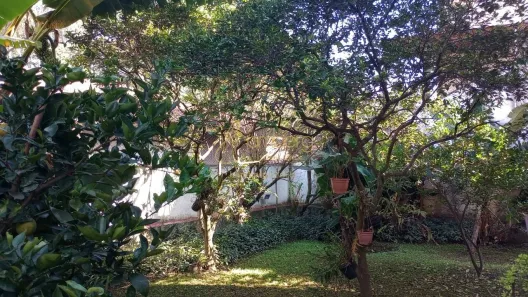Casa com 4 Quartos à venda, 380m² no Vila Suzana, São Paulo