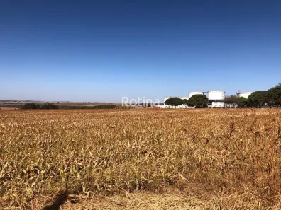 Lote/Terreno para alugar, 20000m² no Morada Nova, Uberlândia