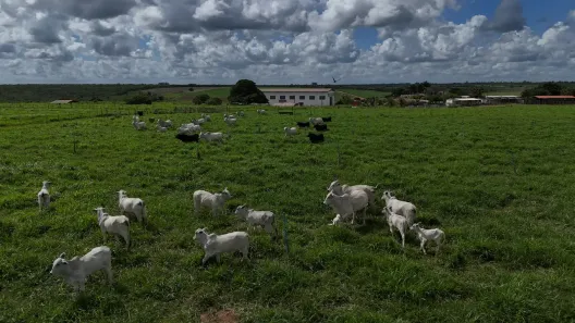 Fazenda/Sítio com 20 Quartos à venda, 3000000m² no , São José de Mipibu