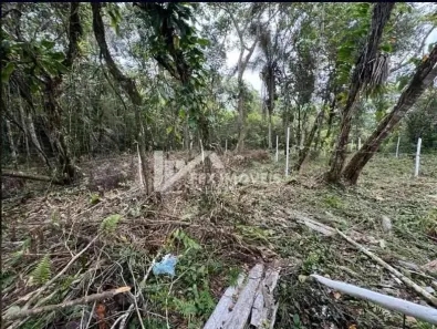 Lote/Terreno à venda, 181m² no , Itanhaém