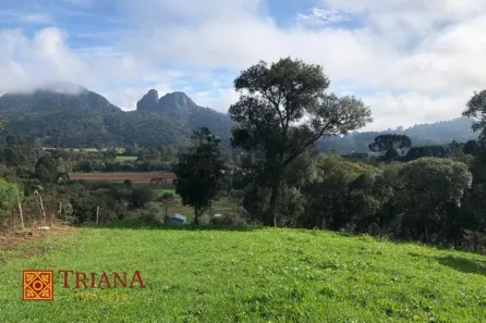 Lote/Terreno à venda, 50000m² no , Rio Rufino