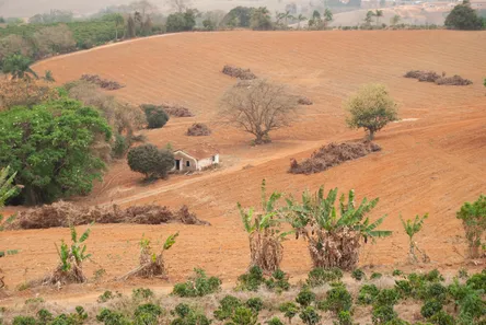 Fazenda/Sítio com 4 Quartos à venda, 120000m² no , Muzambinho