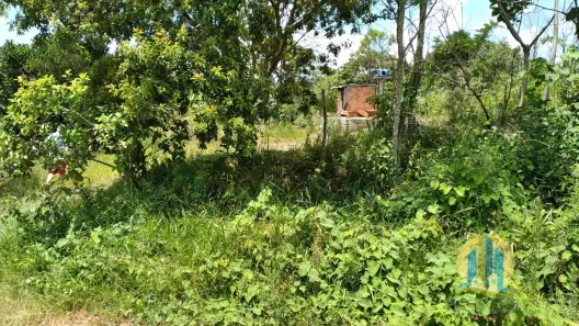 Lote/Terreno à venda, 1557m² no , Pirapora do Bom Jesus