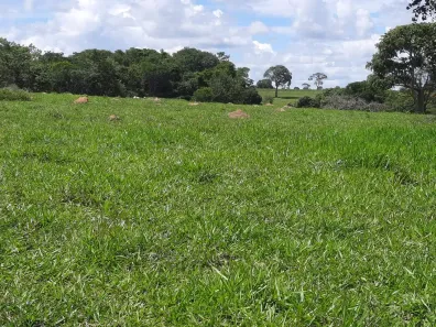 Fazenda/Sítio com 3 Quartos à venda, 290400m² no , Cezarina