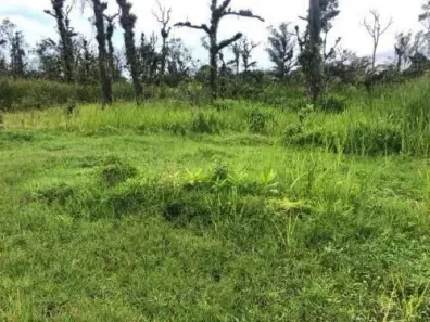 Lote/Terreno à venda, 250m² no , Mongaguá