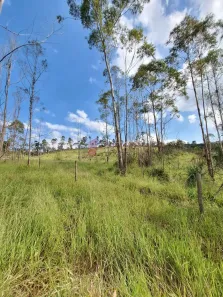 Galpão/Depósito/Armazém à venda, 23581m² no , Jarinu