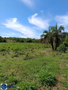 Fazenda/Sítio com 1 Quarto à venda, 4m² no Setor Central, Araçu