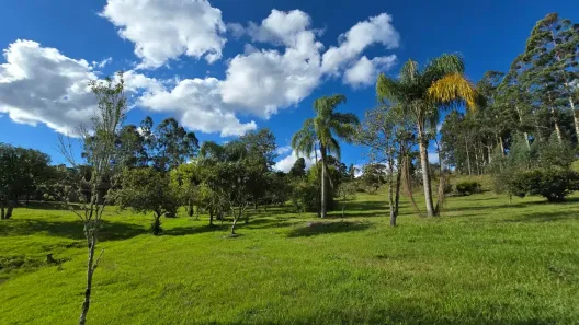 Fazenda/Sítio com 4 Quartos à venda, 21000m² no , Rio Rufino