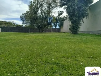 Lote/Terreno à venda, 384m² no Country, Santa Cruz do Sul