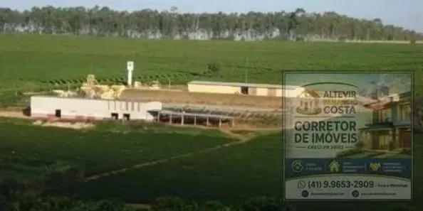 Fazenda/Sítio com 3 Quartos à venda, 5300000m² no , Piumhi